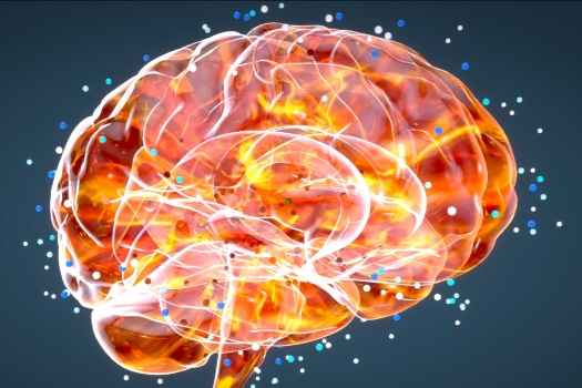 Graphic of orange brain