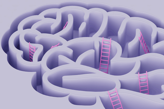Illustration of ladders in a brain maze