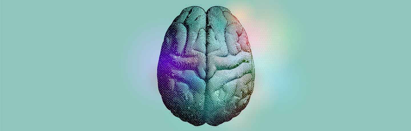 graphic image of brain