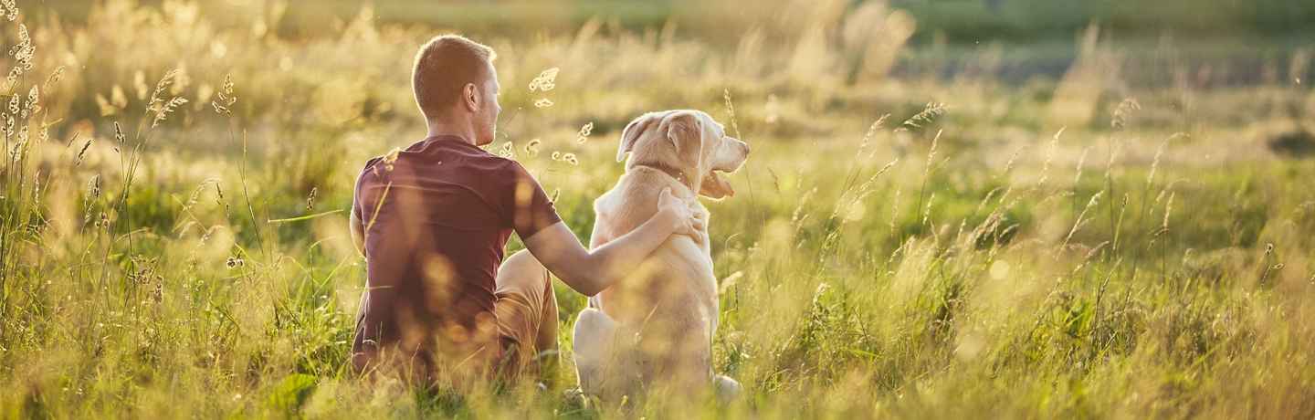 A man and his dog sitting in a field at sunset