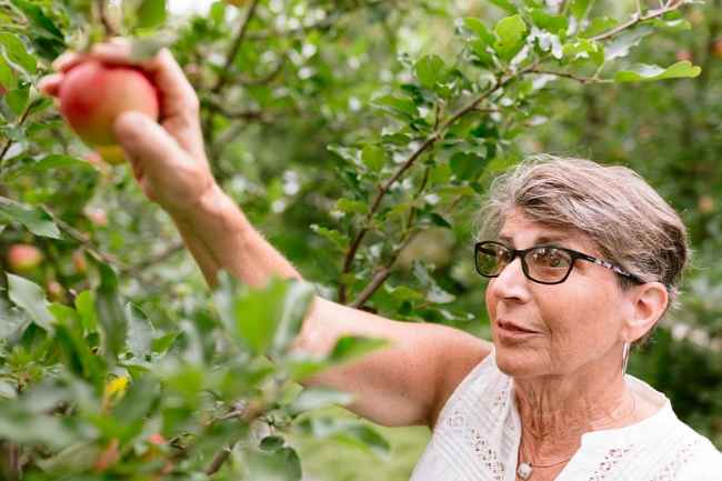 Participant Linda - person with short hair picking an apple