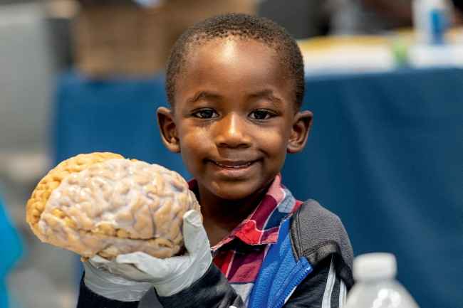 Young child holds a human brain