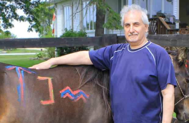 Participant Leo - person with short white hair standing next to a horse, the horse has colorful shapes painted on it