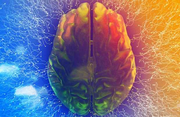 Illustration of a brain with a glowing blue and orange background
