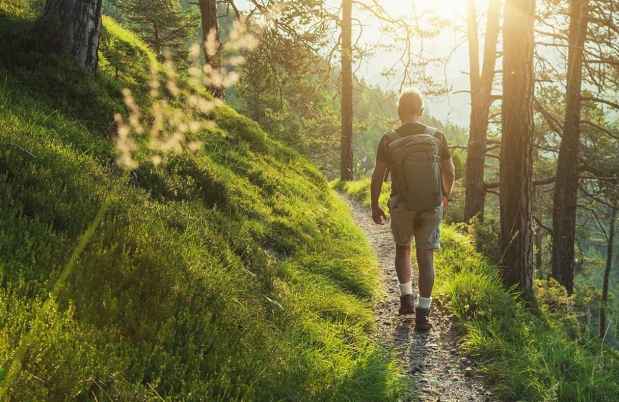 Man walks in the woods