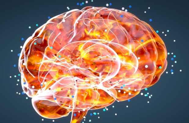 Graphic of orange brain