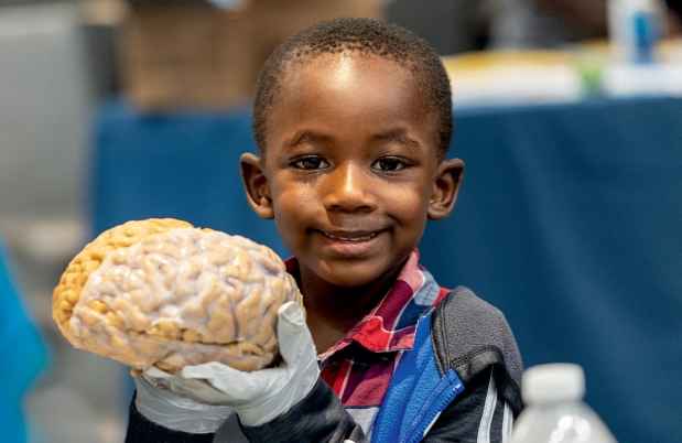 Young child holds a human brain