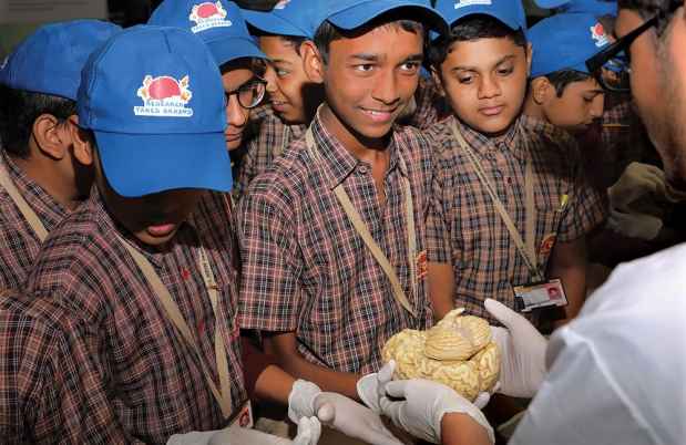 Schoolkids hold a human brain
