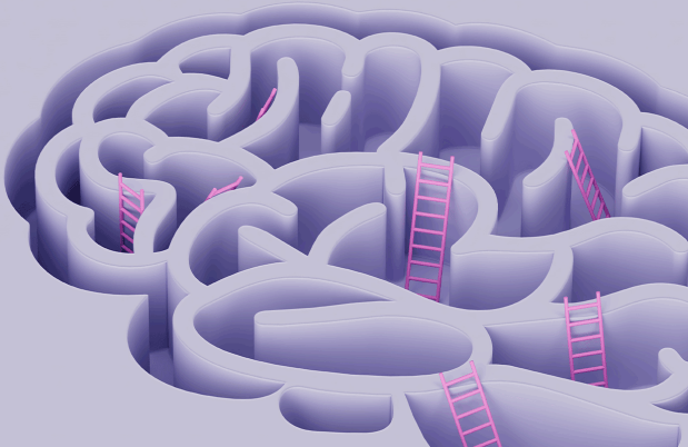 Illustration of ladders in a brain maze