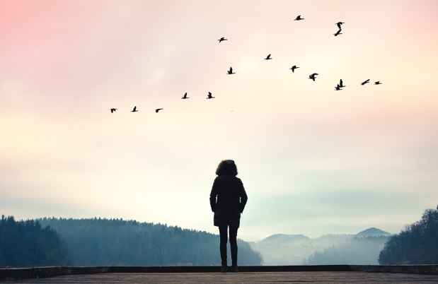 Figure stands on dock vivid sky and flock of birds