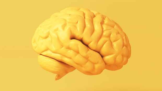 Yellow brain, yellow background