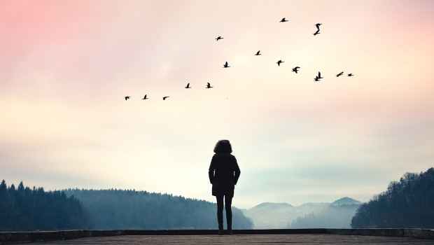 Figure stands on dock vivid sky and flock of birds
