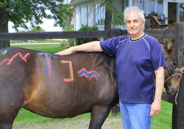 Man in purple shirt standing in front of a brown horse
